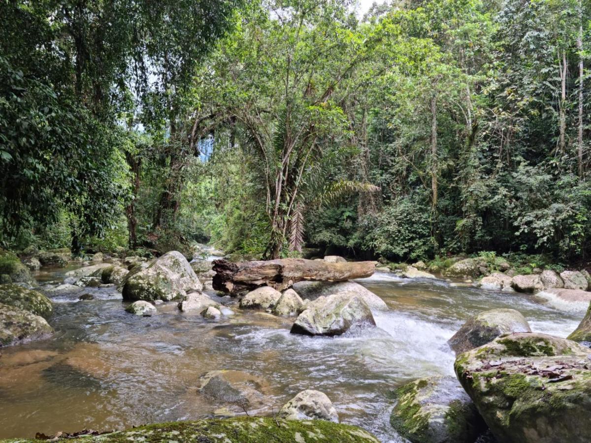 Recanto Da Margo 1, Casa Com Acesso A Cachoeira ปาราตี ภายนอก รูปภาพ
