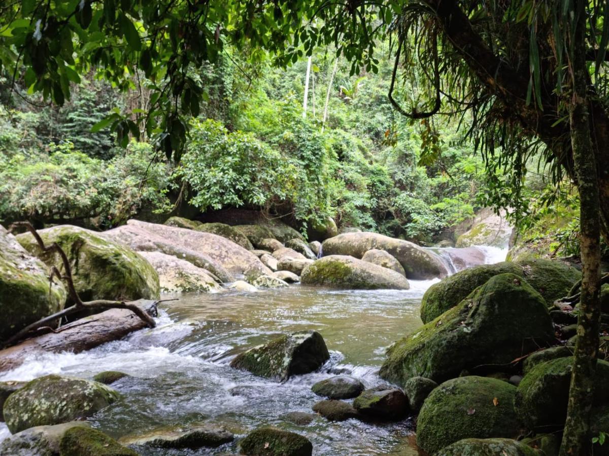 Recanto Da Margo 1, Casa Com Acesso A Cachoeira ปาราตี ภายนอก รูปภาพ