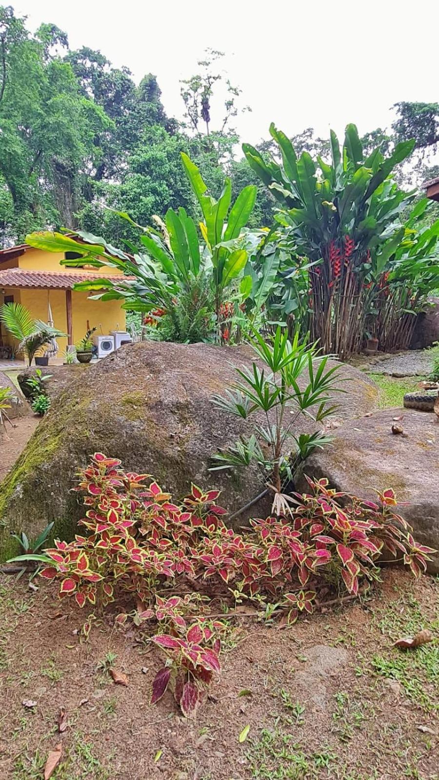 Recanto Da Margo 1, Casa Com Acesso A Cachoeira ปาราตี ภายนอก รูปภาพ