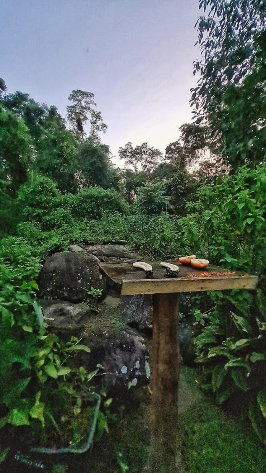 Recanto Da Margo 1, Casa Com Acesso A Cachoeira ปาราตี ภายนอก รูปภาพ