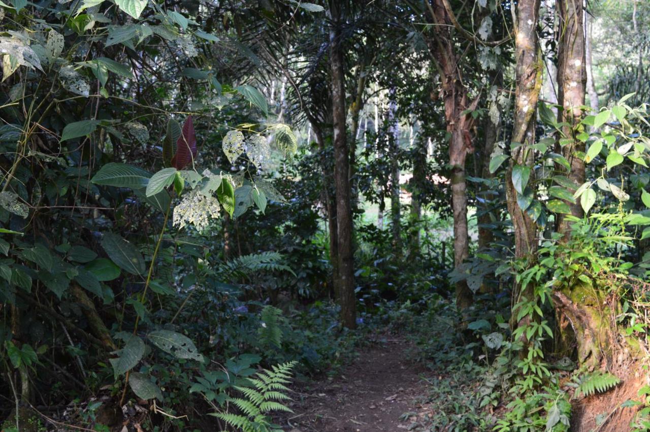 Recanto Da Margo 1, Casa Com Acesso A Cachoeira ปาราตี ภายนอก รูปภาพ