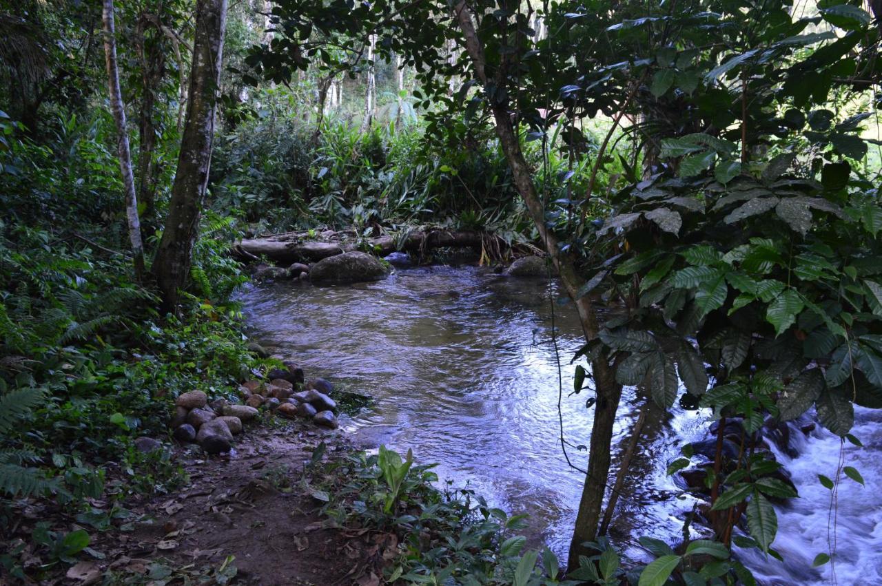 Recanto Da Margo 1, Casa Com Acesso A Cachoeira ปาราตี ภายนอก รูปภาพ